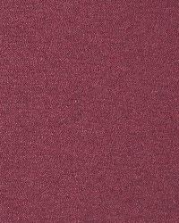 Monochrome Cranberry by   