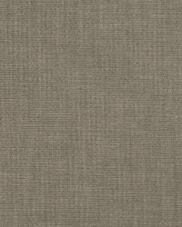 Copious Platinum by  S Harris 