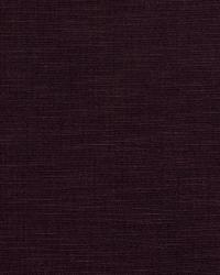 Copious Orchid by  S Harris 