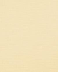 Copious Magnolia by  S Harris 