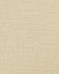 Copious Pearl by  S Harris 