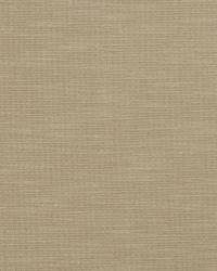 Copious Parchment by  S Harris 