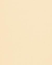 WOOL SATIN MAGNOLIA by  S Harris 