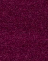 SHAR PEI MAGENTA by  S Harris 