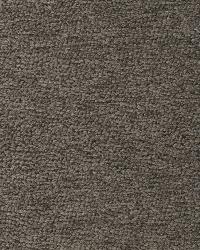 SHAR PEI PEWTER by  S Harris 