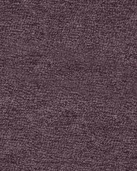 SHAR PEI VIOLET by  S Harris 