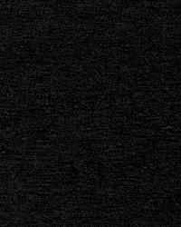 SHAR PEI RAVEN by  S Harris 