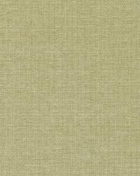 90919 264 by  Duralee 