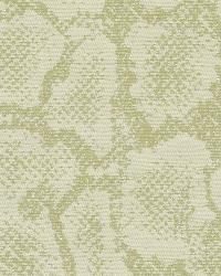 90935 243 by  Duralee 