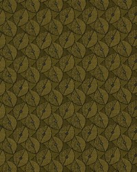 CAVETTO SPRING by  Robert Allen 