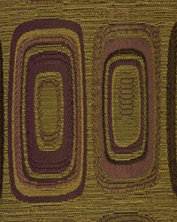 Orb Bk Camel by  Robert Allen 