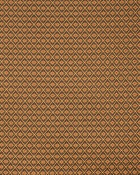 STAR TIME MINK by  Robert Allen 