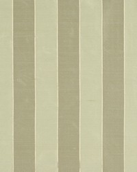 BRUSCHI BASIL by  Robert Allen 