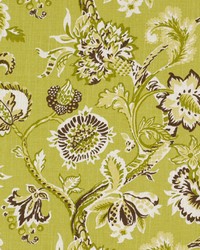 Lenox Lounge Fennel by  Robert Allen 