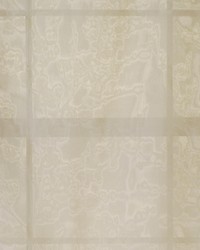 Jermaine Willow by  Robert Allen 