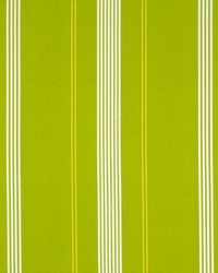 Ocean Trail Parakeet by  Robert Allen 