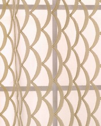 Varek Latte by  Robert Allen 