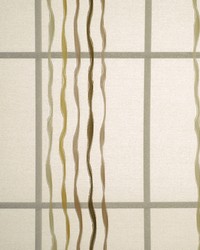 ANDRADE SPICE by  Robert Allen 