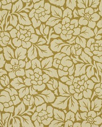 Tropical Weave Bonsai by  Robert Allen 