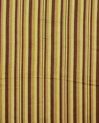 Tent Meeting Cactus by  Robert Allen 