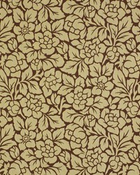 Tropical Weave Java by  Robert Allen 