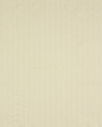 Tiny Lines Limestone by  Robert Allen 