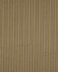 TWIN HILLS HAZELNUT by  Robert Allen 