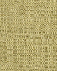 Haystack Bk Maize by  Robert Allen 