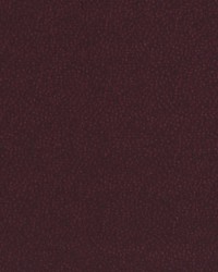 Spotted Glory Plum by  Robert Allen 