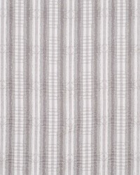 Silver Threads Fog by  Robert Allen 