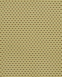 BARTON GRASS by  Robert Allen 