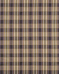 NORTHCOURT PLUM by  Robert Allen 