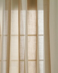 Ocracoke Sand by  Robert Allen 