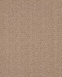 BENETELLO TWIG by  Robert Allen 