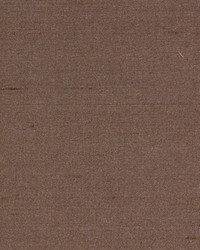 Brilliant Eyes Mink by  Robert Allen 