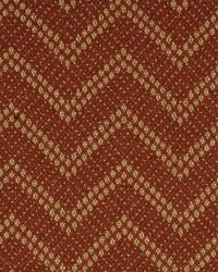 Electrify Persimmon by   