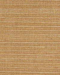 Felicitas Desert by  Robert Allen 