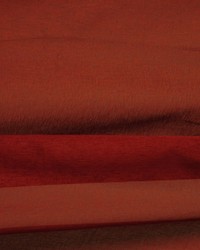 Isle Of Capri Cider by  Robert Allen 