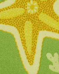 Beach Bongo Citrus by  Robert Allen 