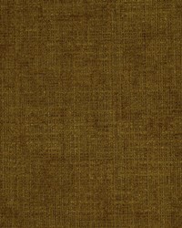 La Fanu Turtle by  Robert Allen 