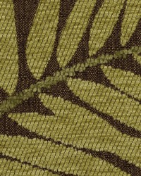 Tropic Breeze Cocoa by  Robert Allen 