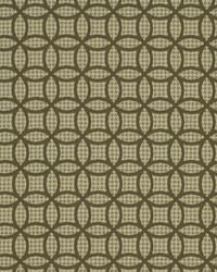 Baltic Cuff Fossil by   