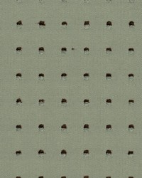 Niamh Bermuda by  Robert Allen 