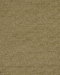 Stratosphere Birch by  Robert Allen 