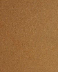 Belle Ami Copper by  Robert Allen 