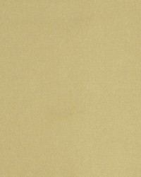 Belle Ami Champagne by  Robert Allen 