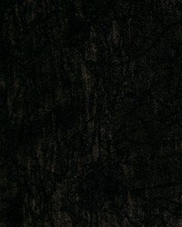 Crinkled Sheer Onyx by  Robert Allen 