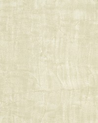 Crinkled Sheer Cream by  Robert Allen 