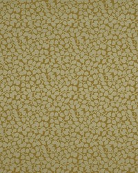 Shadow Leaf Rain by  Robert Allen 