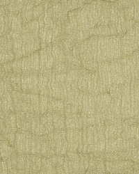 Clear Intent Sage by   